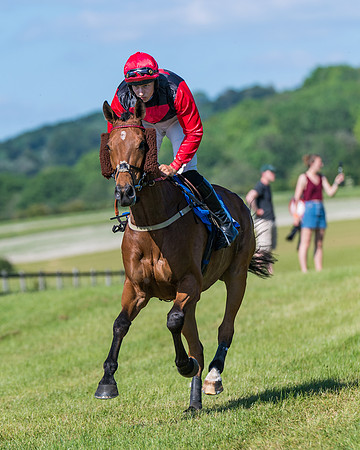 Race 6 - Open Maiden (50 of 201)