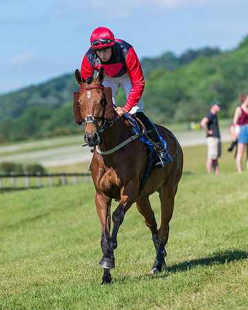 Race 6 - Open Maiden (51 of 201)