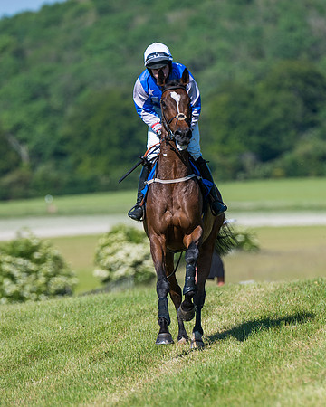 Race 6 - Open Maiden (55 of 201)