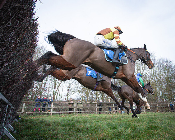 Race 1 - All Is True - Jack Andrews (8 of 38)