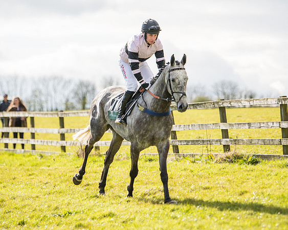 Race 5 - Restricted  (6 of 118)