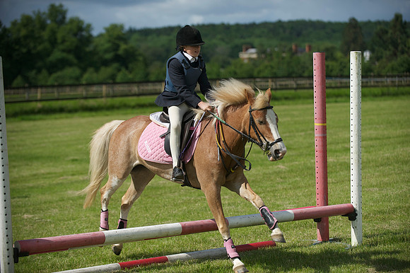 SOHS PC Summer Show at BCA 17th June 2012