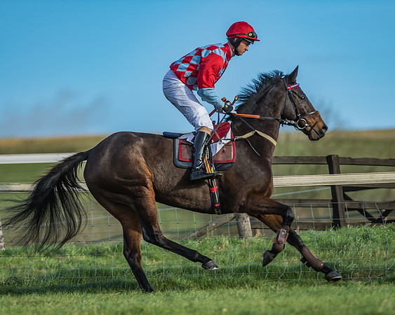 PPORA Barbury Castle