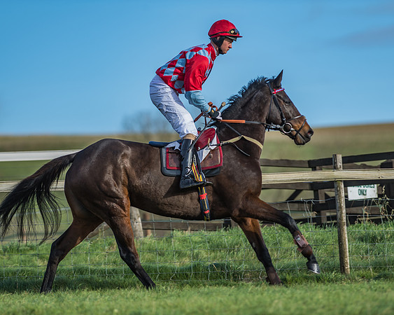 PPORA Barbury Castle