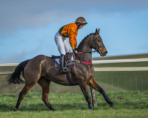 PPORA Barbury Castle
