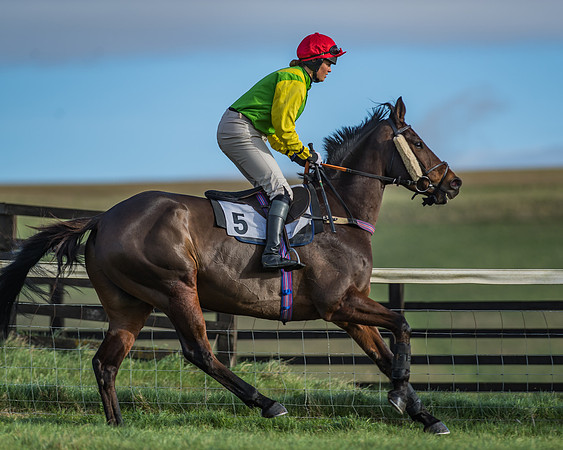 PPORA Barbury Castle