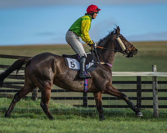 PPORA Barbury Castle