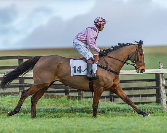 PPORA Barbury Castle