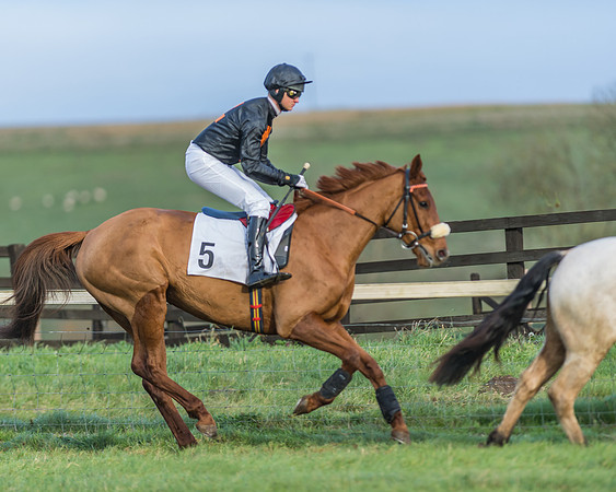 PPORA Barbury Castle