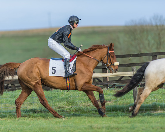 PPORA Barbury Castle