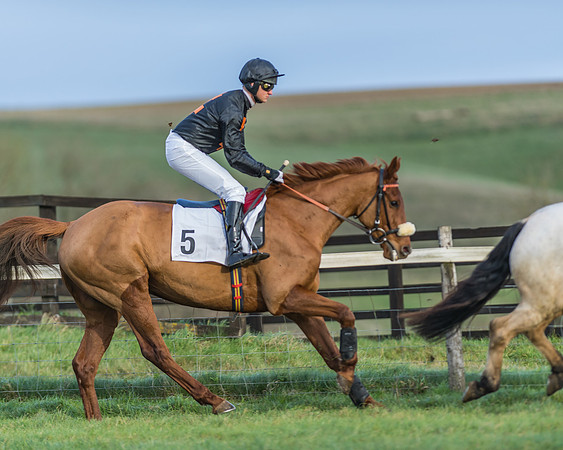 PPORA Barbury Castle