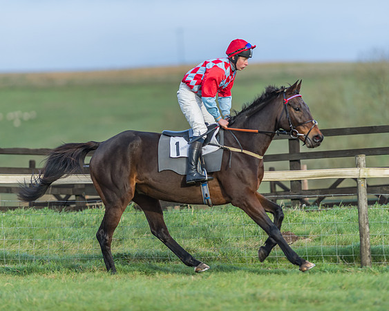 PPORA Barbury Castle