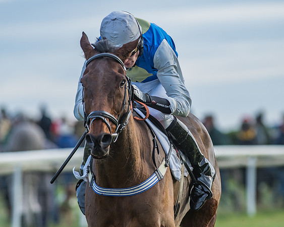 PPORA Barbury Castle