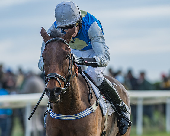 PPORA Barbury Castle
