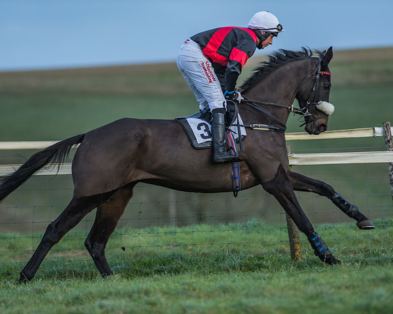 PPORA Barbury Castle