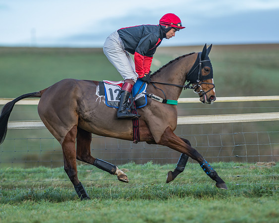 PPORA Barbury Castle
