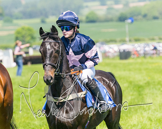 Pony Races  (31 of 141)