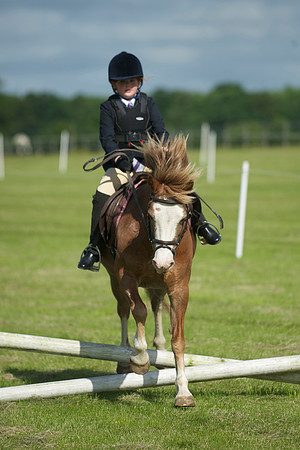 SOHS PC Summer Show at BCA 17th June 2012