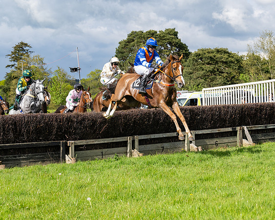 Race 5  - Maiden  (15 of 84)