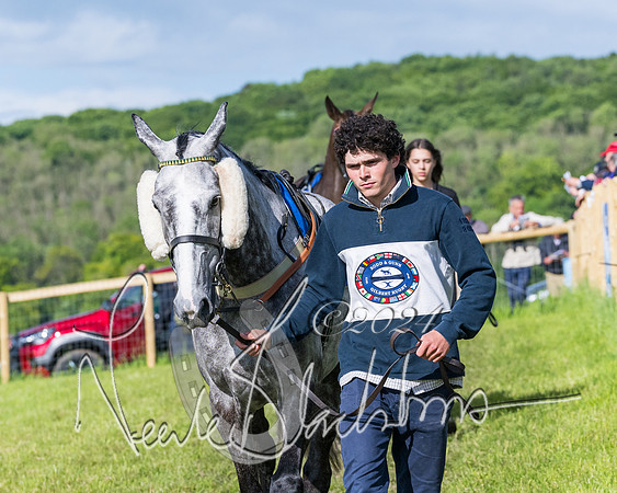 Race 6 - The Maiden  (36 of 448)