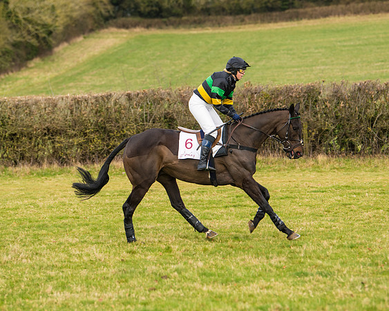 Race 3 - Restricted  (12 of 100)