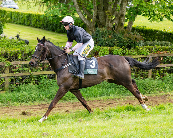 Race 5  - Novice riders (52 of 188)