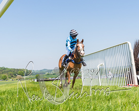 Pony Races  (40 of 141)