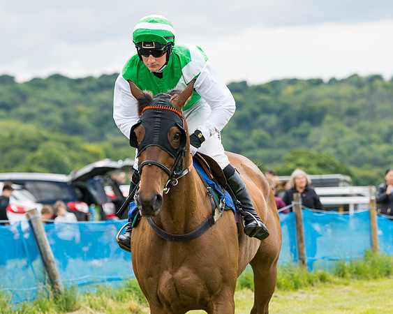 Race 2 - PPORA Novice Riders  (62 of 187)