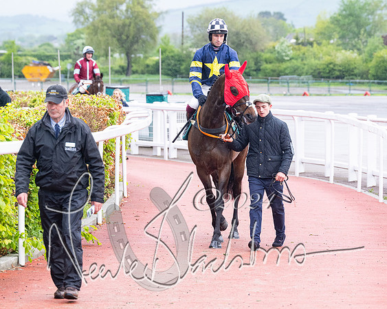 Race 5 - Mares Open  (14 of 129)