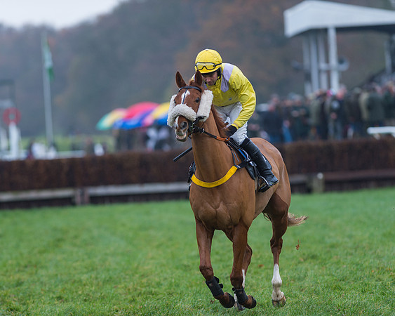 Race 1 Division 2 -  PPORA Members Conditions 2miles 4 furlongs