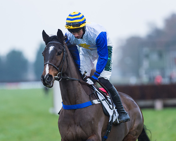 Race 1 Division 2 -  PPORA Members Conditions 2miles 4 furlongs