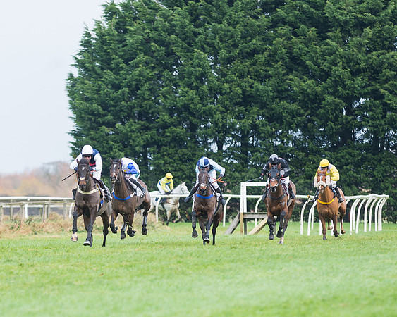 Race 1 Division 2 -  PPORA Members Conditions 2miles 4 furlongs