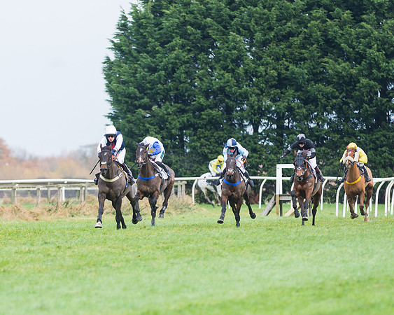 Race 1 Division 2 -  PPORA Members Conditions 2miles 4 furlongs