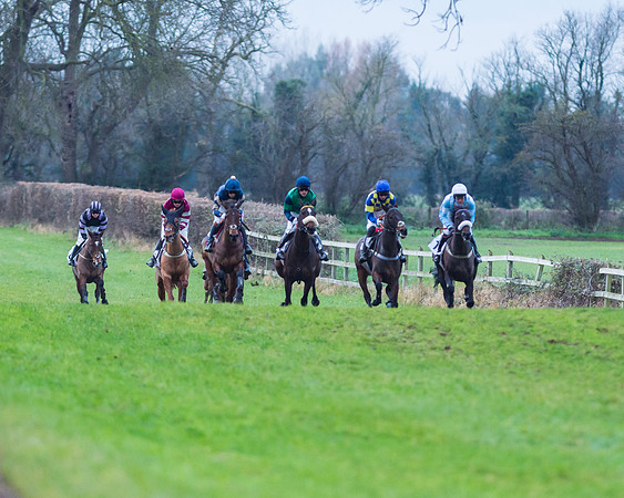 Race 6 - Young horse Maiden Race
