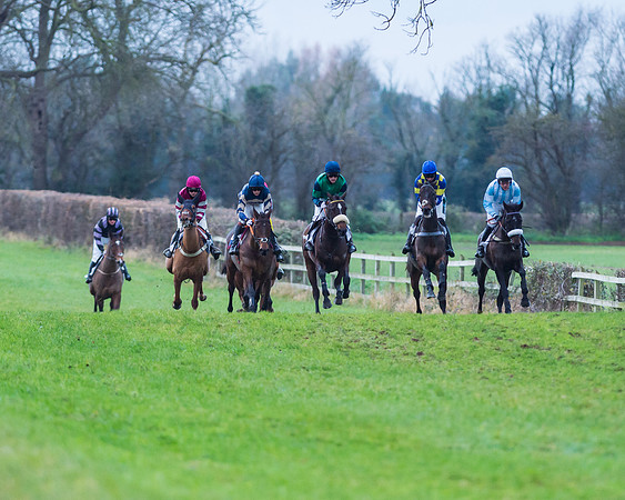 Race 6 - Young horse Maiden Race