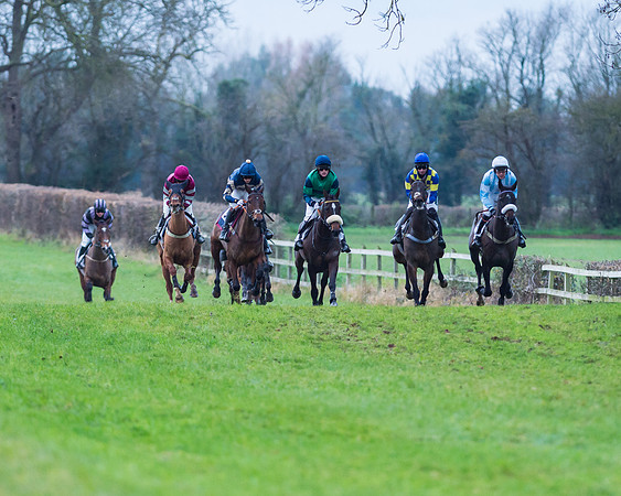 Race 6 - Young horse Maiden Race