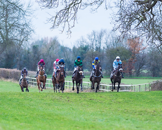 Race 6 - Young horse Maiden Race