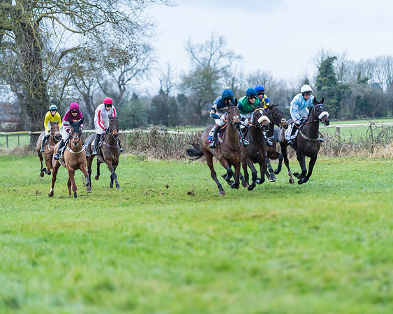 Race 6 - Young horse Maiden Race
