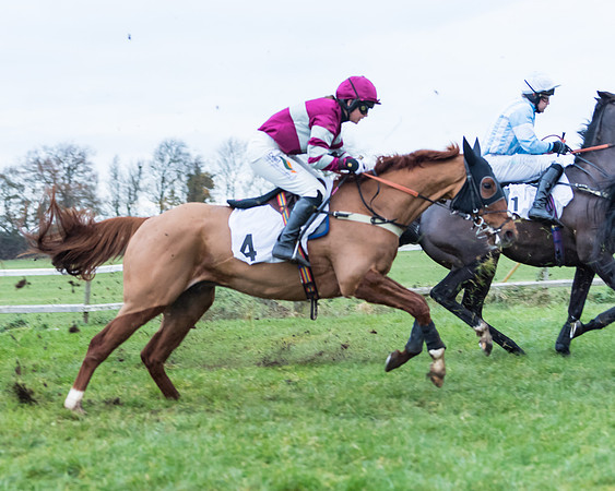 Race 6 - Young horse Maiden Race