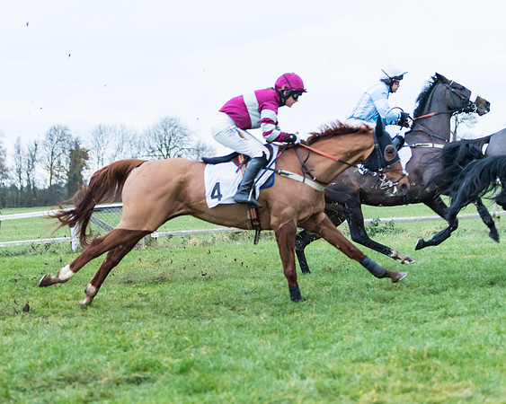 Race 6 - Young horse Maiden Race