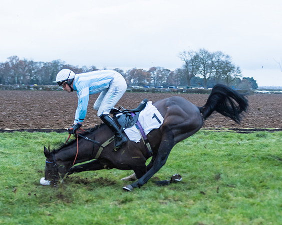 Race 6 - Young horse Maiden Race