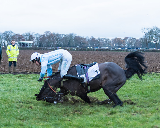 Race 6 - Young horse Maiden Race