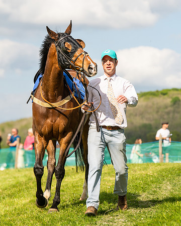 Race 6 - Maiden [2m4f] (11 of 135)
