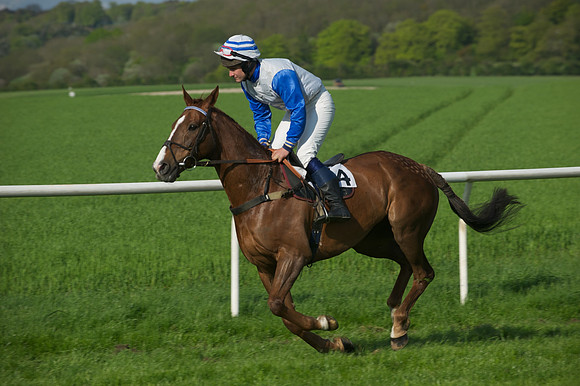 Race 7 -  10