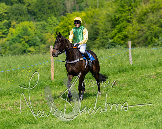 Race 5  - Maiden race 2m5F Div-1 (106 of 197)