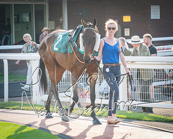 Race 4 - The Jonathan Neesom memorial open Hunter’s steeplechase 3m2f 70y (6 of 167)