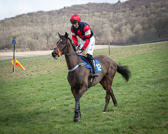 Race 1 - Four and Five year Old Maiden (64 of 137)
