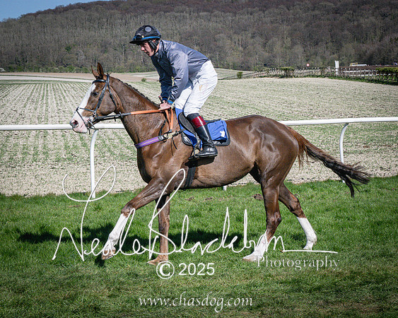 Race 5 - The restricted (21 of 113)