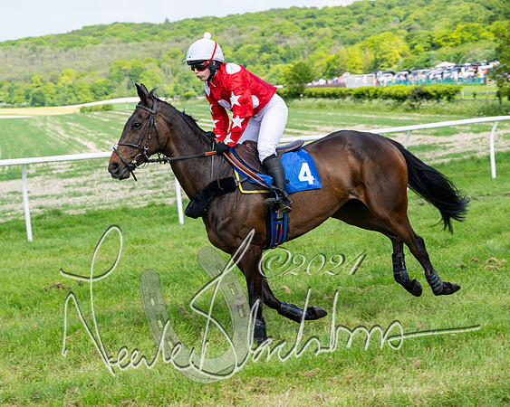 Race 3 - Ladies Open  (68 of 133)