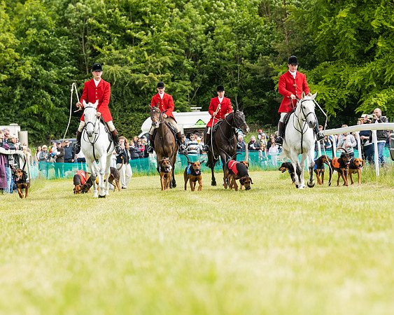 Hound Race  (3 of 49)